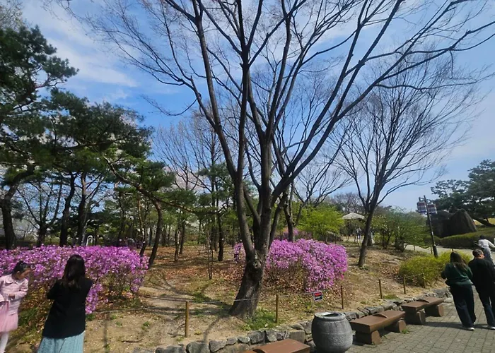 #프라이빗 정숙한 #명동 #경복궁 #서울역 #보문역 도보3분 #짐보관 #5박이상 조식 * Seúl